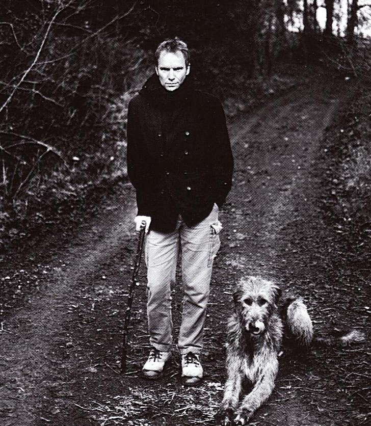 “Mercury Falling”: El sonido solitario de Sting (1ra parte)