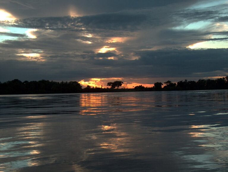 Orinoco Flow, la magia de un poderoso río melódico