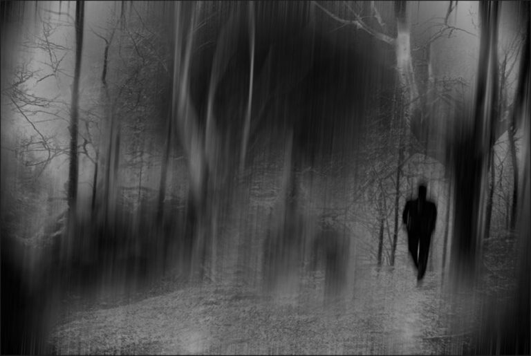 “Farewell” acompañado “Entre Sombras”