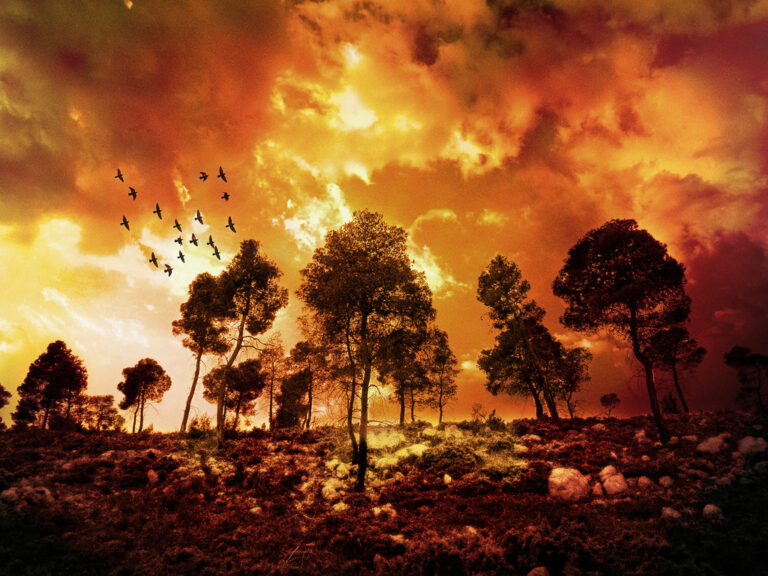 “Planet Hell”: Este mundo no está listo para una nueva “Arca”