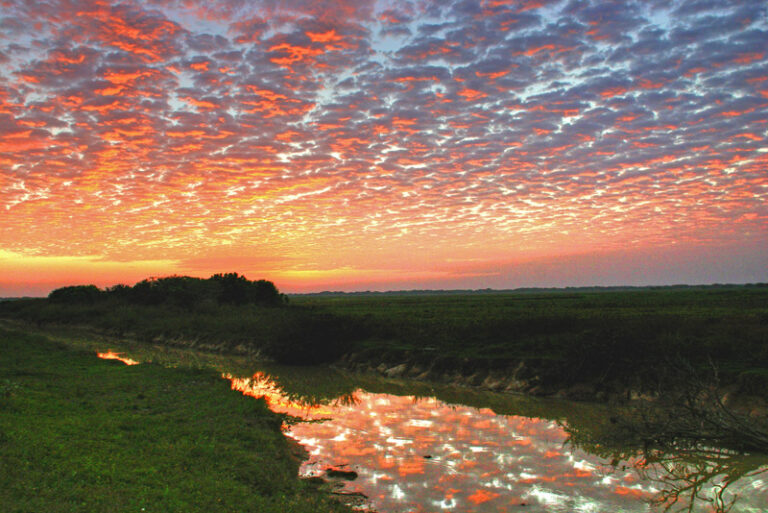 Paisajes de Venezuela: Colores Musicales